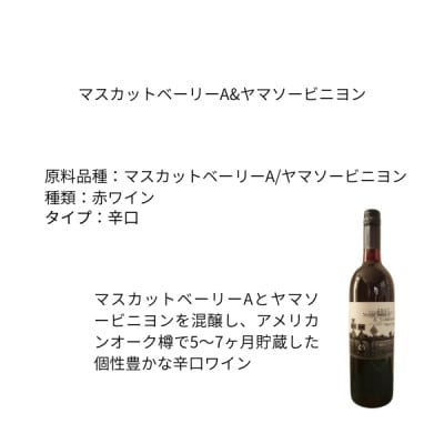 東晨洋酒 マスカットベーリーA&ヤマソービニヨン 無添加ワイン