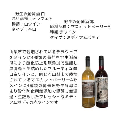 東晨洋酒 野生派葡萄酒 白赤セット 無添加ワイン　合計2本(720ml×各1本)
