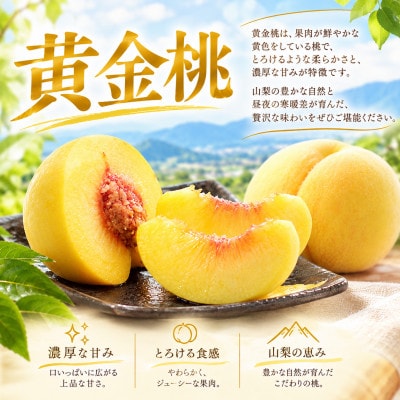 【先行受付 2027年発送】山梨市産　黄金桃　約2kg(5～8玉)