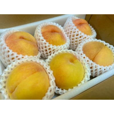 【先行受付 2027年発送】山梨市産　黄金桃　約2kg(5～8玉)