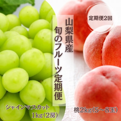 【発送月固定定期便】【2026年先行受付】旬のフルーツ定期便　桃2kg・シャインマスカット全2回