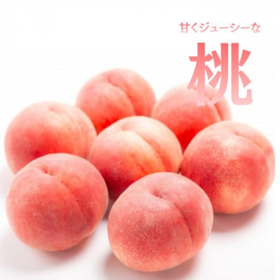 【発送月固定定期便】【2026年先行受付】旬のフルーツ定期便　桃2kg・シャインマスカット全2回