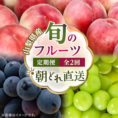 【発送月固定定期便】【2026年先行受付】旬のフルーツ定期便 桃2kg・巨峰/シャイン全2回