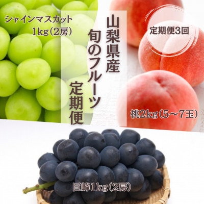 【発送月固定定期便】【2026年先行受付】フルーツ定期便 桃2kg 巨峰1kg シャイン1kg全3回
