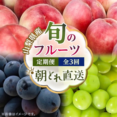【発送月固定定期便】【2026年先行受付】フルーツ定期便 桃2kg 巨峰1kg シャイン1kg全3回