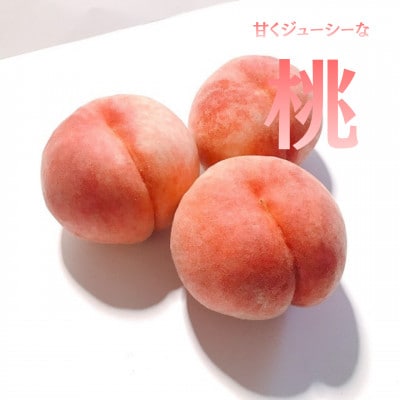 【発送月固定定期便】【2026年先行受付】フルーツ定期便 桃2kg 巨峰1kg シャイン1kg全3回