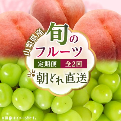【発送月固定定期便】【2026年先行受付】 旬のフルーツ定期便 桃900g・シャイン500g全2回