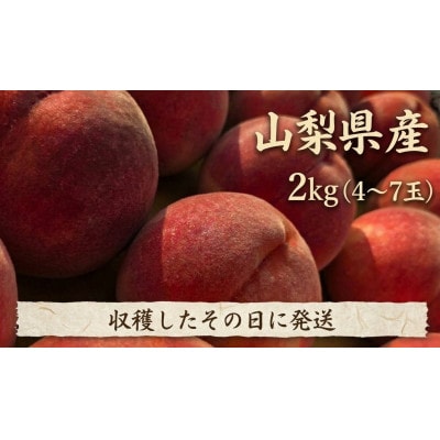 【2027年発送 先行受付】農家直送の桃　2kg