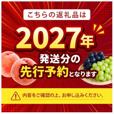 【2027年発送 先行受付】農家直送の桃　2kg