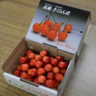 垣根栽培さくらんぼ　紅秀峰2Lサイズ　500g　バラ詰め
