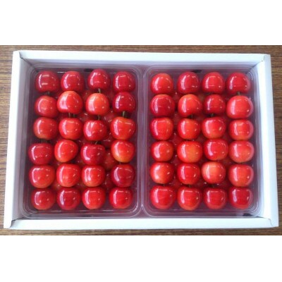 垣根栽培さくらんぼ　紅秀峰　1kg(500g×2パック入り)並べ詰め