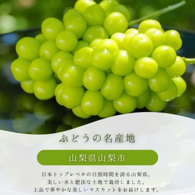 フルーツ王国 山梨県産　シャインマスカット　3房～4房 2.2kg以上
