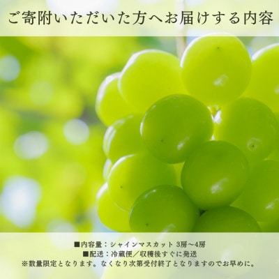 【2026年発送 先行受付】フルーツ王国山梨県産シャインマスカット 3房～4房 2.2kg以上