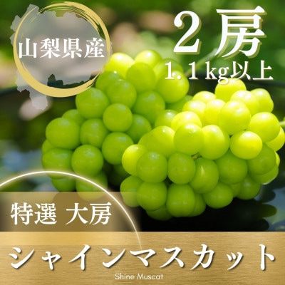 【2026年発送 先行受付】シャインマスカット 2房 1.1kg以上 山梨県 山梨市産