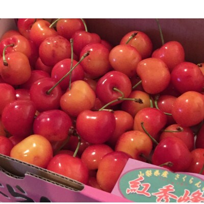 山梨県産さくらんぼ　紅秀峰(1kg)バラ詰め