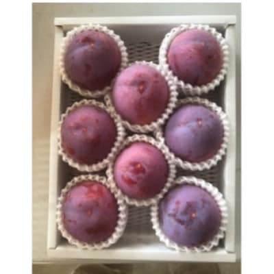 貴陽(すもも)1ケース【約1.5kg　7～9玉】