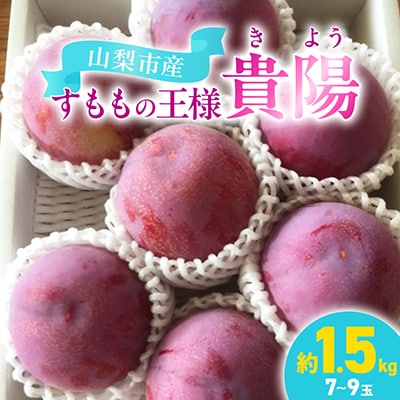 貴陽(すもも)1ケース【約1.5kg　7～9玉】