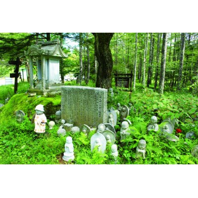 ガイドと歩く小楢山(富士見周回コース)　1名様分