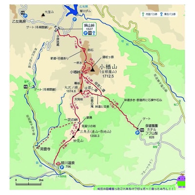 ガイドと歩く小楢山(富士見周回コース)　1名様分