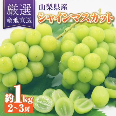 シャインマスカット 約1kg 厳選!農家直送 シャインマスカット (2～3房)