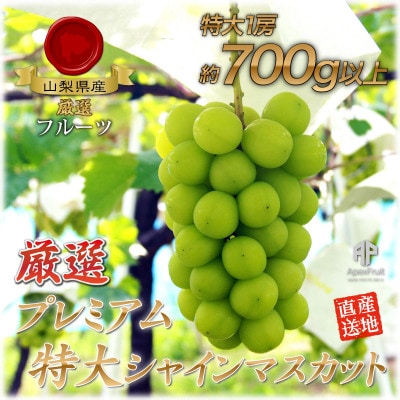 厳選!プレミアムシャインマスカット1房　(700g以上サイズ)