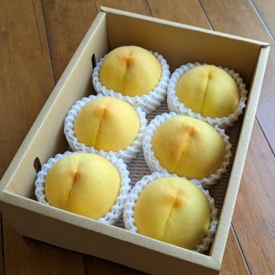 山梨市産　黄金桃　約2kg(5～8玉)