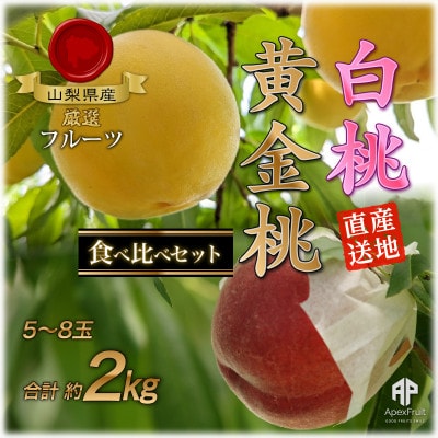 山梨市産　白桃と黄金桃の食べ比べセット　約2kg(5～8玉)