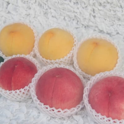 山梨市産　白桃と黄金桃の食べ比べセット　約2kg(5～8玉)