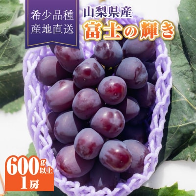 【2026年発送】富士の輝き1房(600g以上)