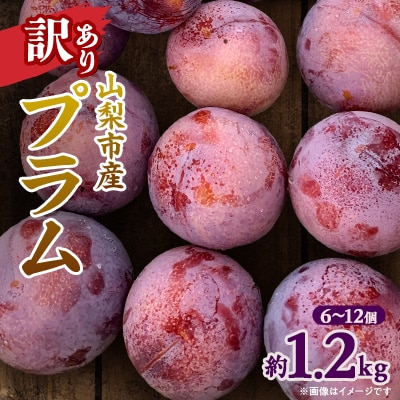 【先行受付】訳ありプラム(すもも) 約1.2kg(6～12個)
