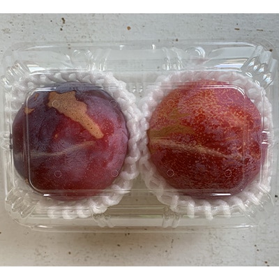 【先行受付】訳ありプラム(すもも) 約1.2kg(6～12個)
