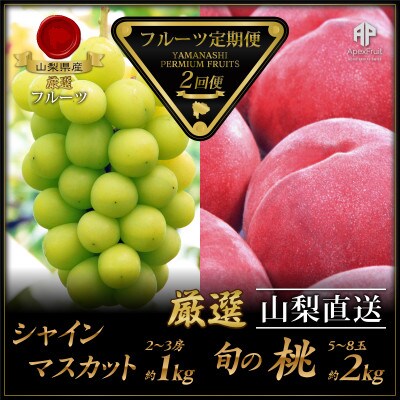 【発送月固定定期便】フルーツ定期便全2回