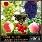 【発送月固定定期便】フルーツ定期便全5回