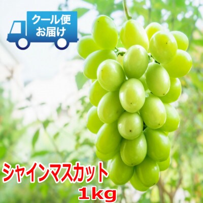 安心のクール便発送　シャインマスカット 1kg (2房)