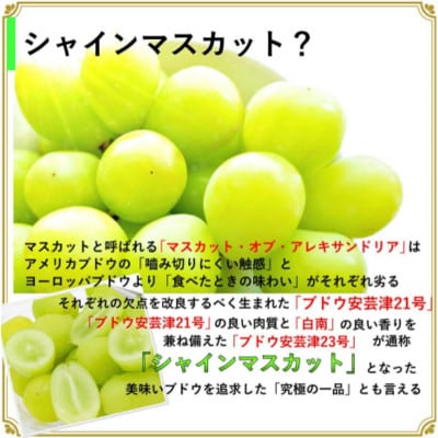 安心のクール便発送　シャインマスカット 1kg (2房)