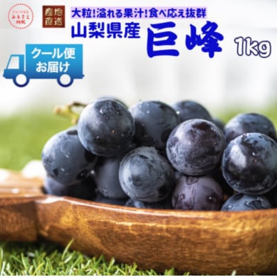 安心のクール便発送　山梨県産　巨峰 1kg(2房)