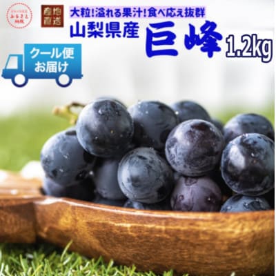 安心のクール便発送　山梨県産　巨峰 1.2kg(2房)