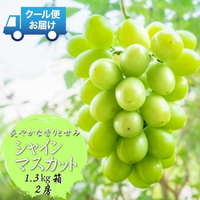 先行予約　2026年発送分　山梨県山梨市　安心のクール便発送　シャインマスカット 1.3kg 　2房