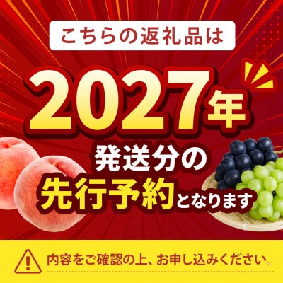 2027年発送先行受付【一流レストラン御用達】リピーターNo.1樹上完熟桃ギリギリ限界まで完熟