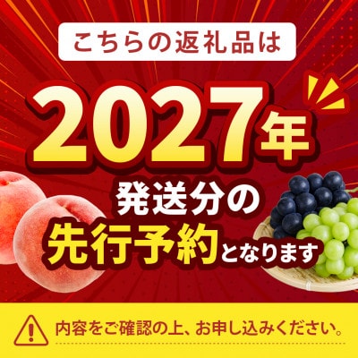 2027年発送先行受付【桃通が愛してやまない樹上完熟桃】リピーターNo.1ギリギリ限界まで完熟