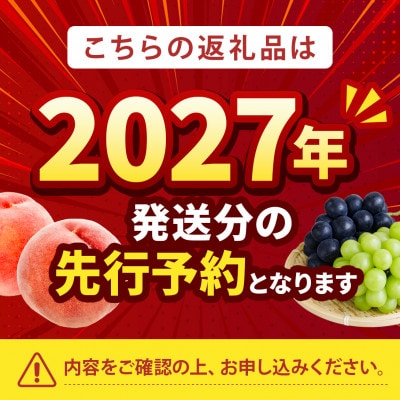 2027年発送先行受付【一流レストランの味を自宅で堪能】贅を極めた樹上完熟桃ギリギリ限界まで完熟