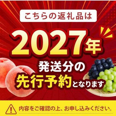 2027年発送先行受付【もう戻れない】リピーター続出中一度食べたらやみつき『樹上完熟ブランド桃』