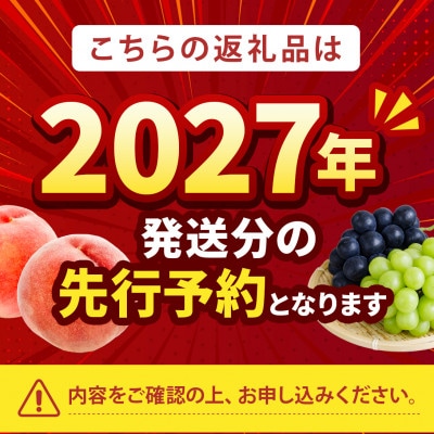 2027年発送先行受付【海外セレブ絶賛】糖度16度以上わずか5%しか収穫されない樹上完熟ブランド桃