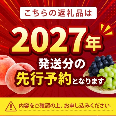 2027年発送先行受付【海外セレブ御用達の贈答品】わずか5%糖度16度以上の樹上完熟ブランド桃