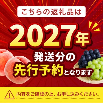 2027年発送先行受付【海外セレブの嗜好品】わずか5%しか許されない糖度16度以上樹上完熟ブランド桃