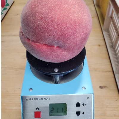 【1泊100万円高級宿御用達】1000個中1個の希少性『幻のシャトーブリアン桃』2025年6月下旬