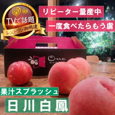 【果汁スプラッシュ日川白鳳】人気品種指定ギフト3年連続TV出演話題ブランド桃2025年6月下旬発送