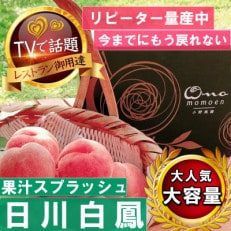 【果汁スプラッシュ日川白鳳】人気品種指定ギフト3年連続TV出演話題ブランド桃2024年6月下旬発送