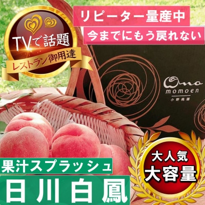 【果汁スプラッシュ日川白鳳】人気品種指定ギフト4年連続TV出演話題ブランド桃2025年6月下旬発送