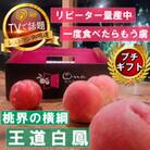 【桃界の横綱キング白鳳】人気品種指定ギフト5年連続TV出演話題ブランド桃2026年7月上旬発送